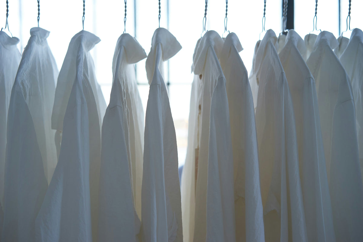 How to Care for Eucalyptus Silk: The Definitive Guide to Botanical Longevity
