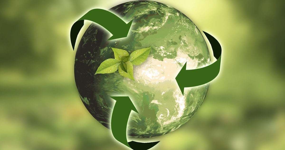 Fashion Revolution: Plant-Based Textiles vs. Traditional Fabrics in Luxury Fashion